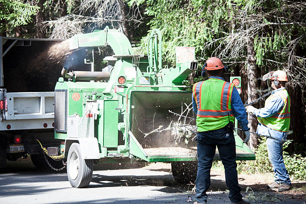 Best Seasonal Cleanup (Spring/Fall)  in Nth Plains, OR